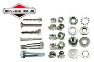 Screws & bolts for Briggs & Stratton